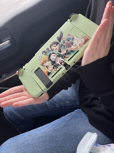 Silicon Cases for Nintendo Switch photo review