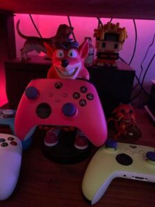 Crash Bandicoot Controller Stand photo review