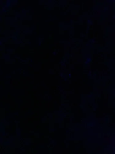 One Piece 28cm Luffy Action Figure – Face Changing photo review